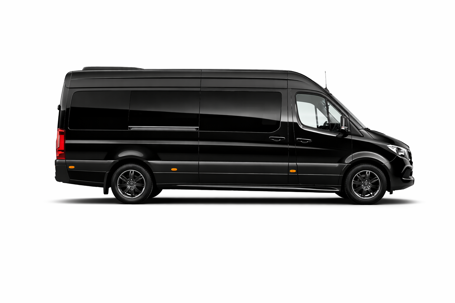 Wheelchair Accessible Sprinter